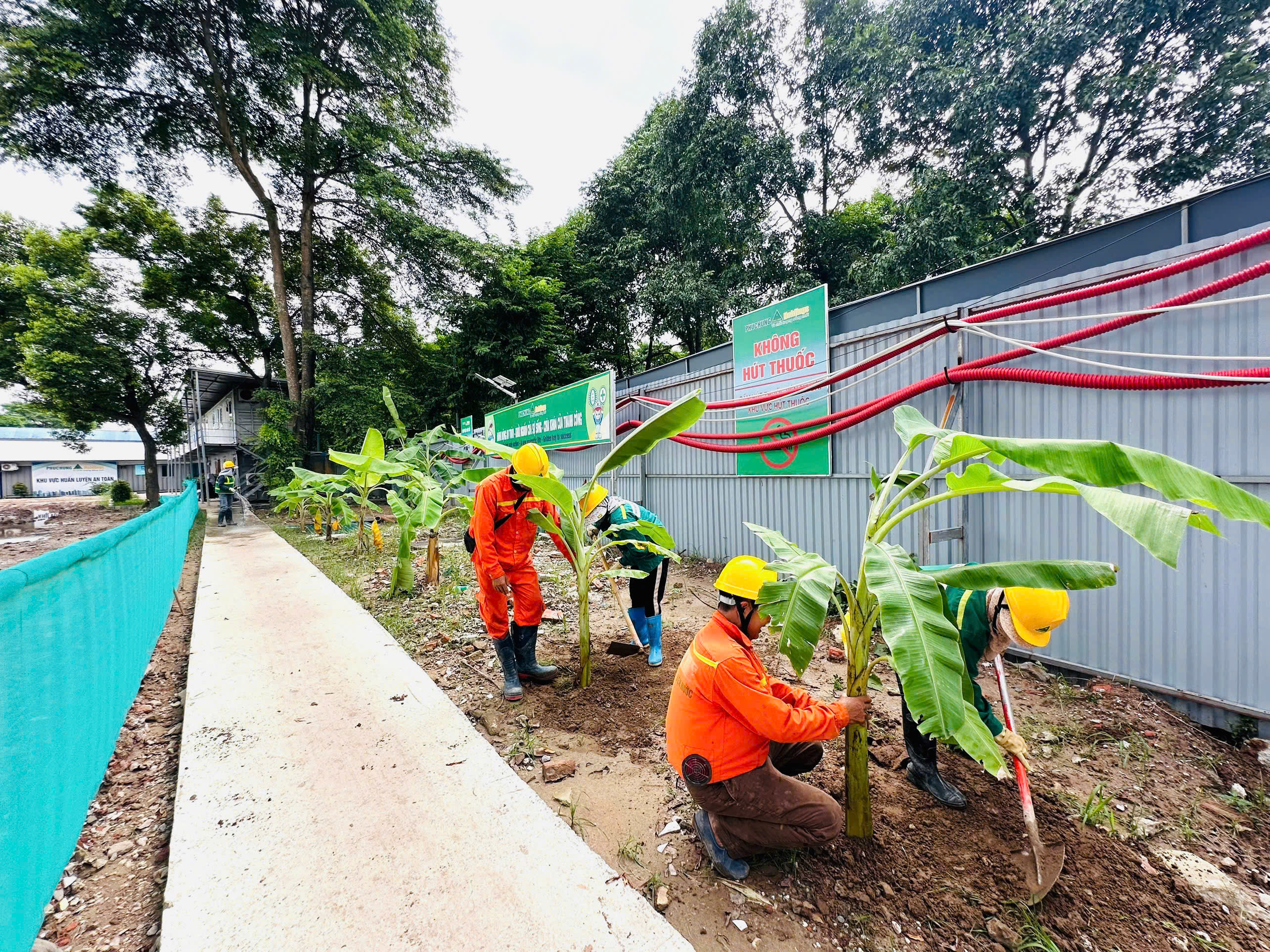 THỨ BẢY XANH TẠI CÁC CÔNG TRƯỜNG PHỤC HƯNG HOLDINGS