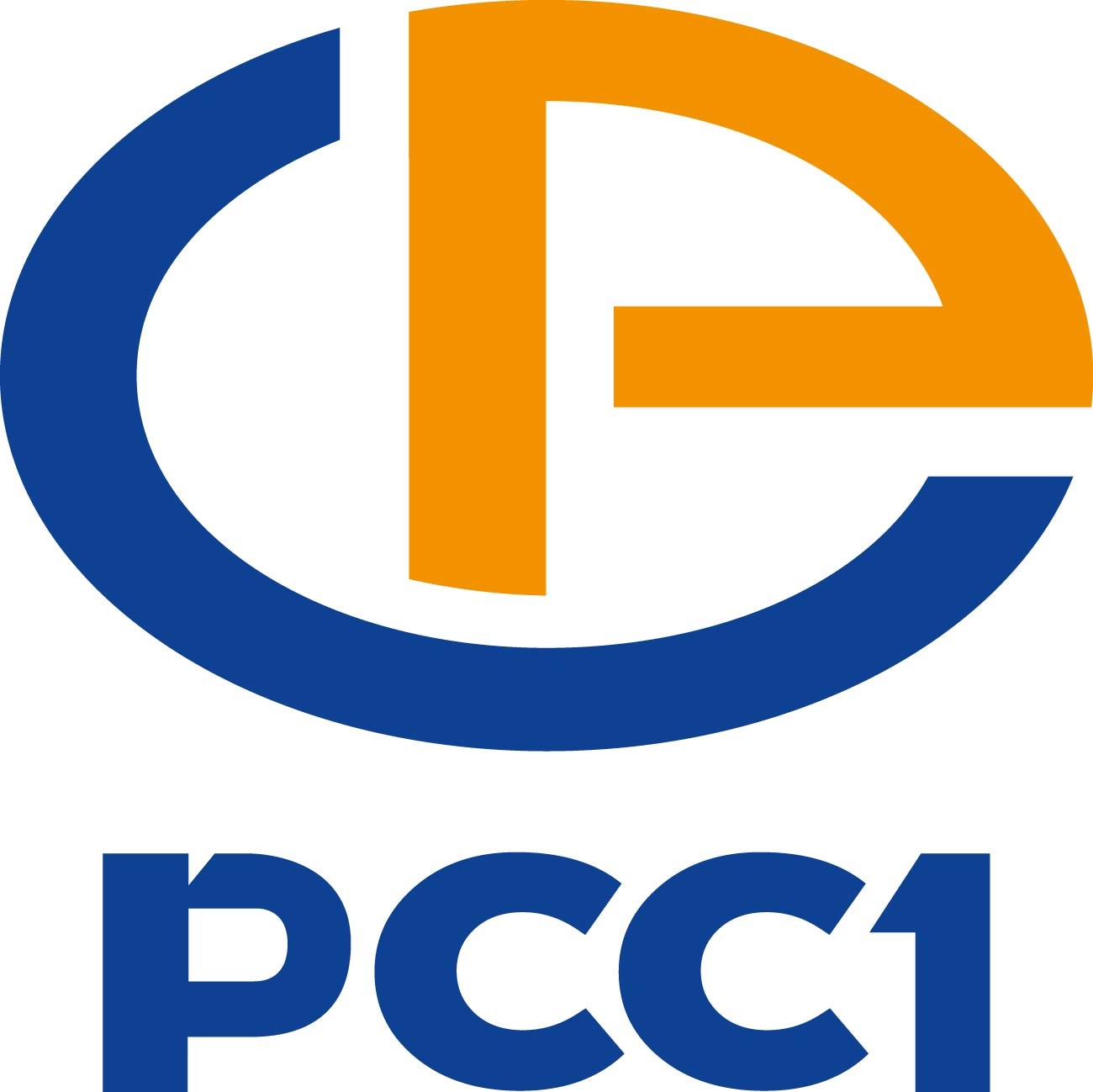Công ty CP Xây lắp Điện 1 (PCC1)
